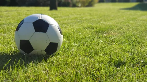 独家揭秘：热刺与AIA再续前缘，下赛季携手打造全新训练战袍传奇！